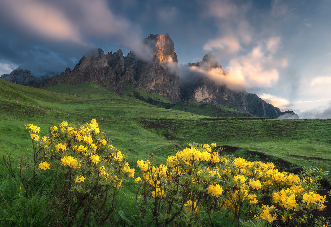 Священный Гайкомд