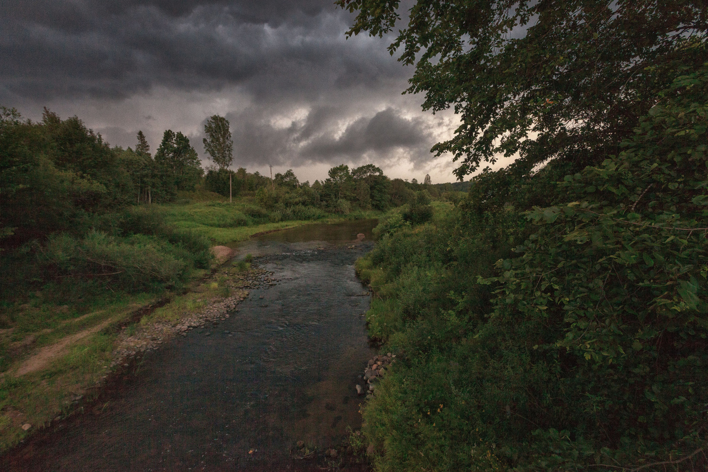 Жизнь вокруг