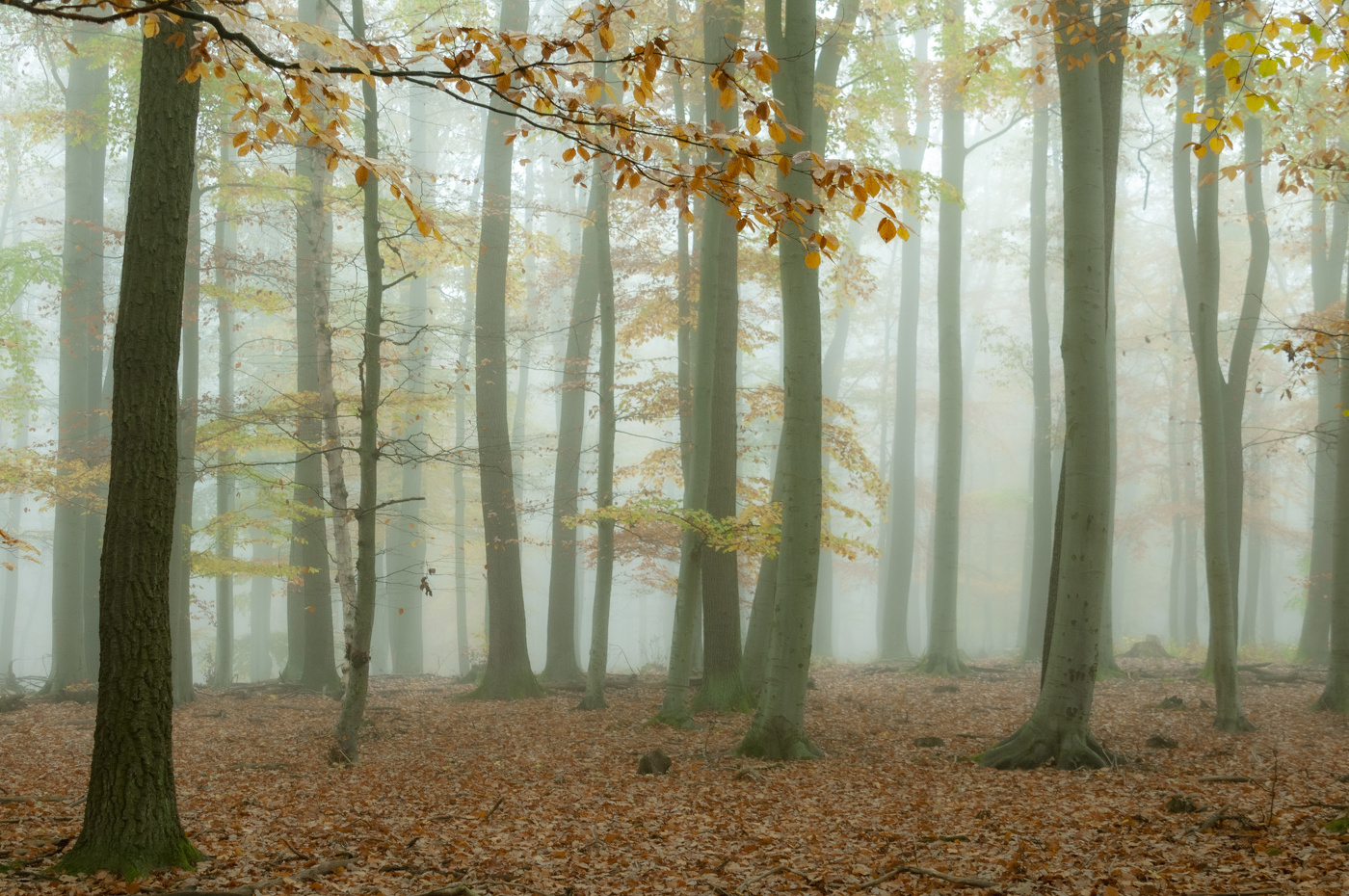 Навстречу осени