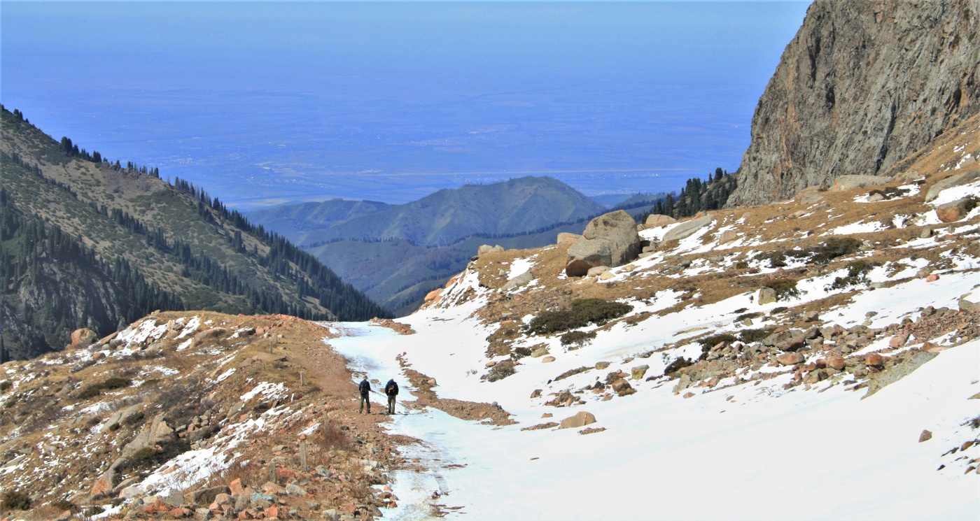 Возвращение