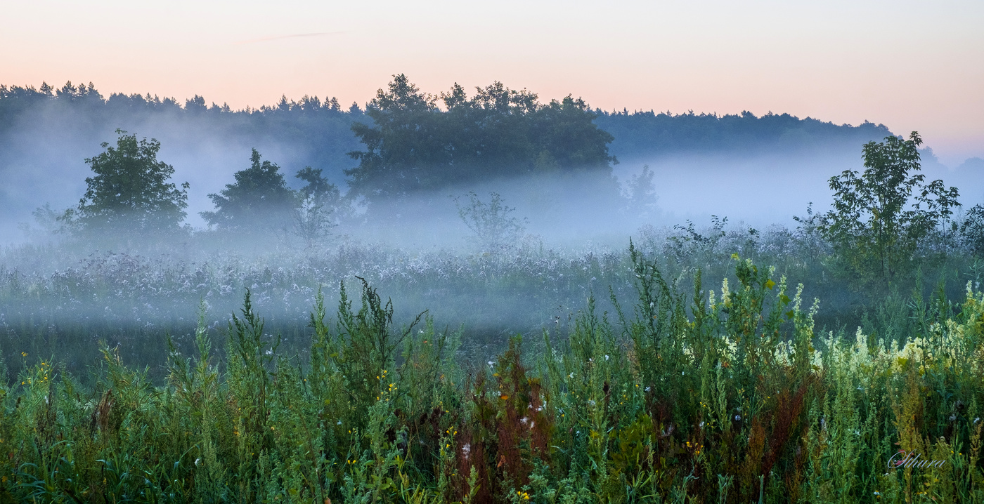 Летнее утро.