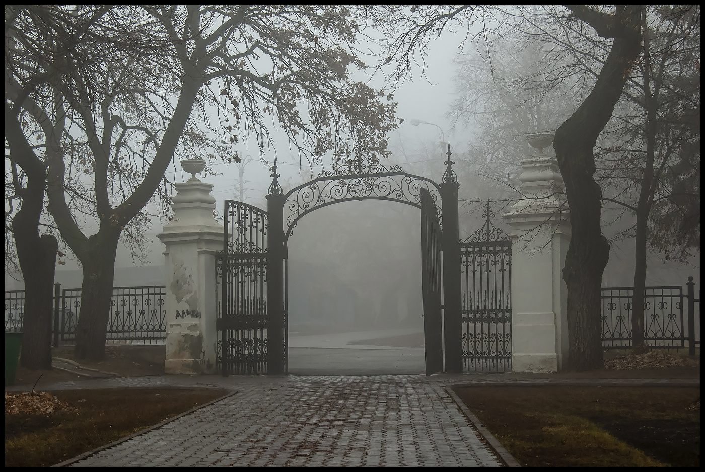 Утро туманное