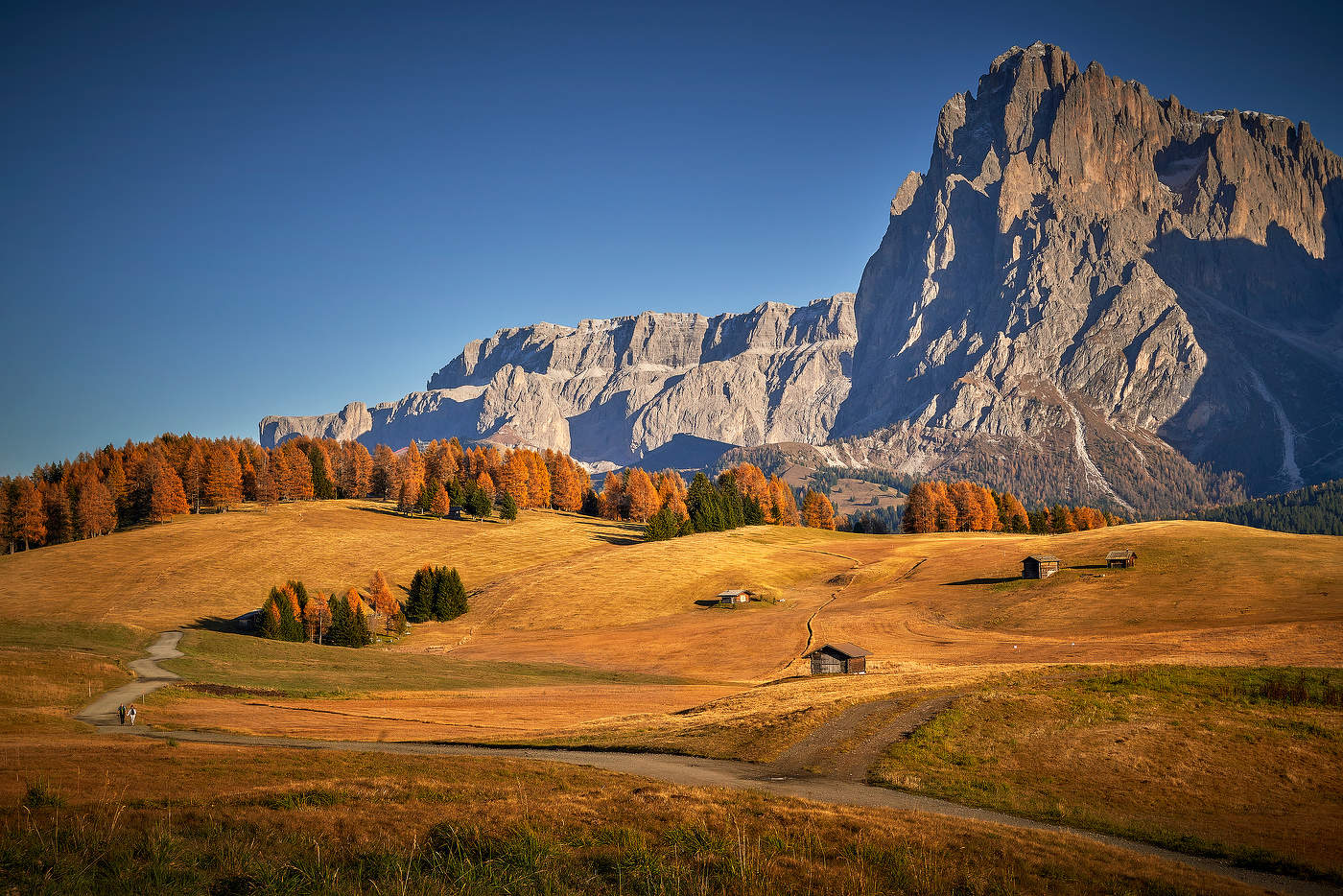 Цвета Осени...