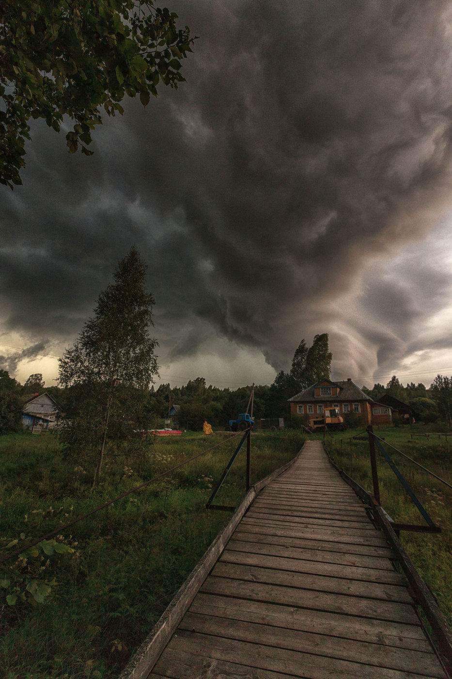 Жизнь вокруг