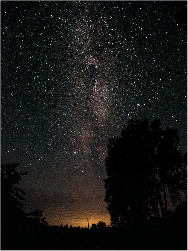 Июль. Полесье