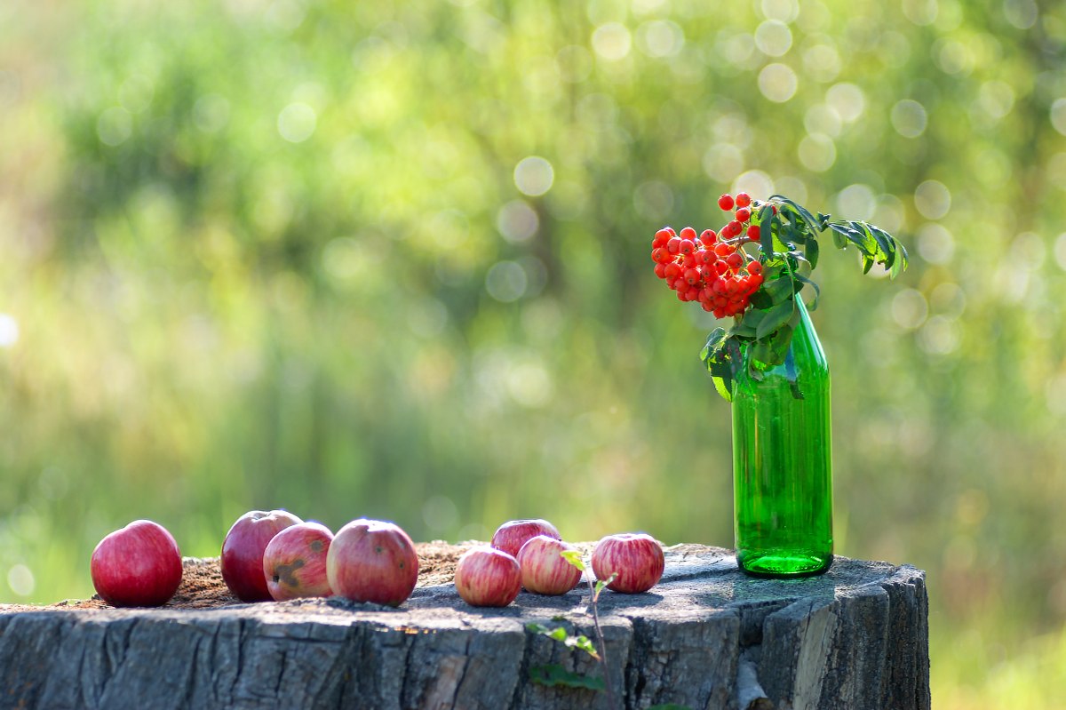 Август на дворе