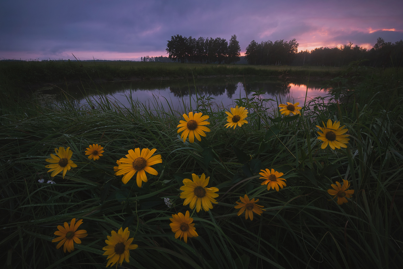 Красочное завершение дня