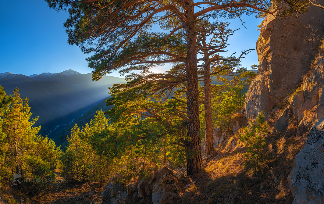 Из серии «Место силы»