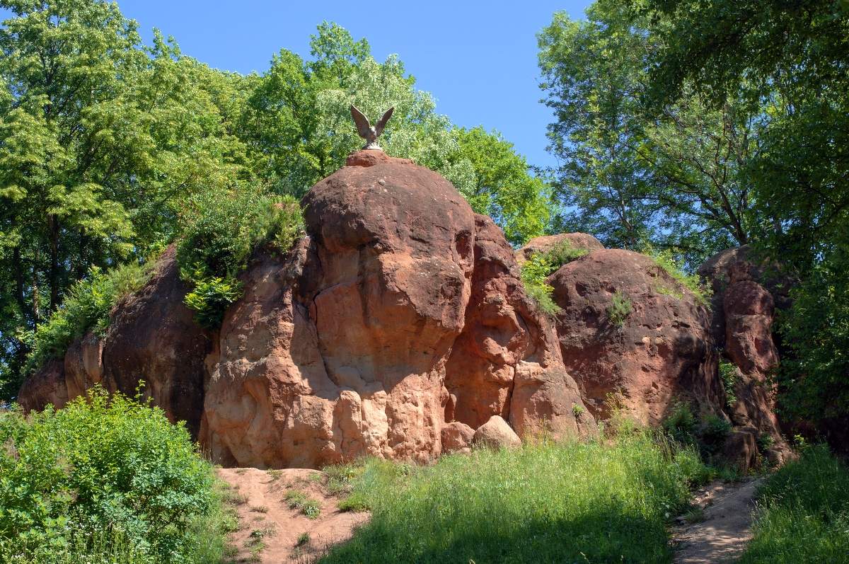 Долгие годы с птицей на голове...