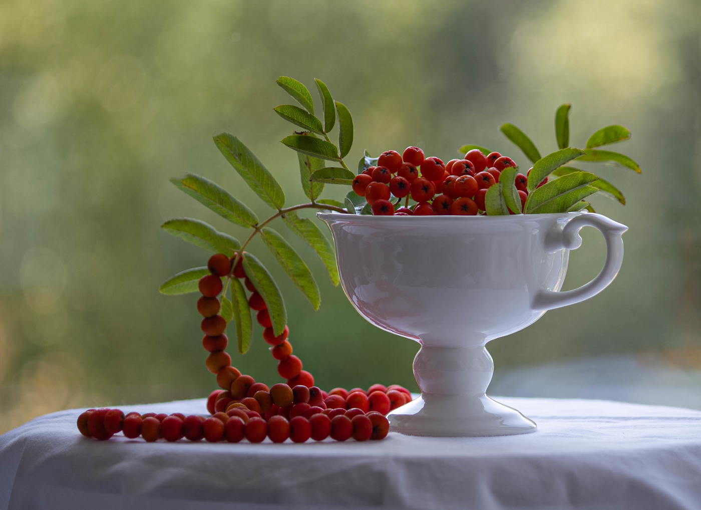 Рябиновые бусы