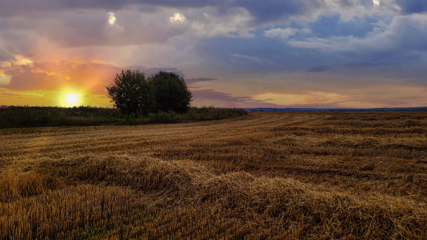 Жнивьё.Скоро осень запоёт дождливым перебором...