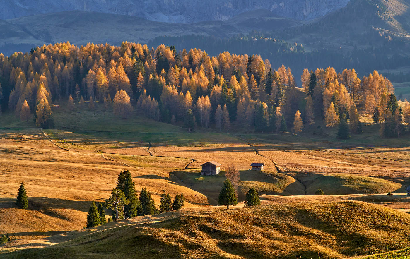 Цвета Осени...
