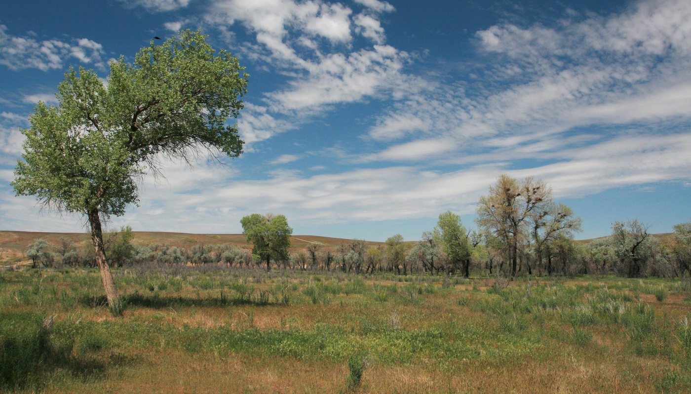 Воронье место