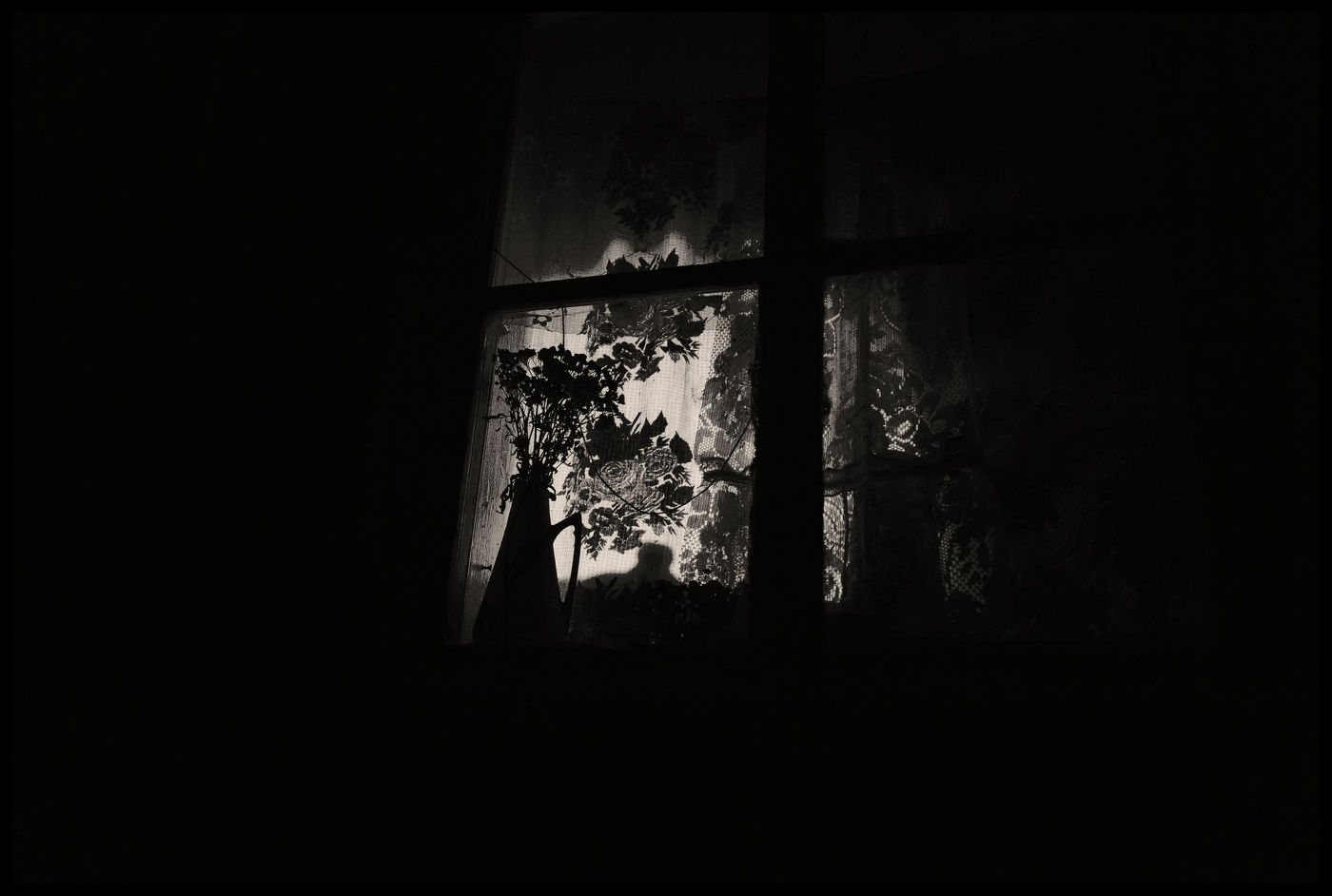 Жизнь вокруг