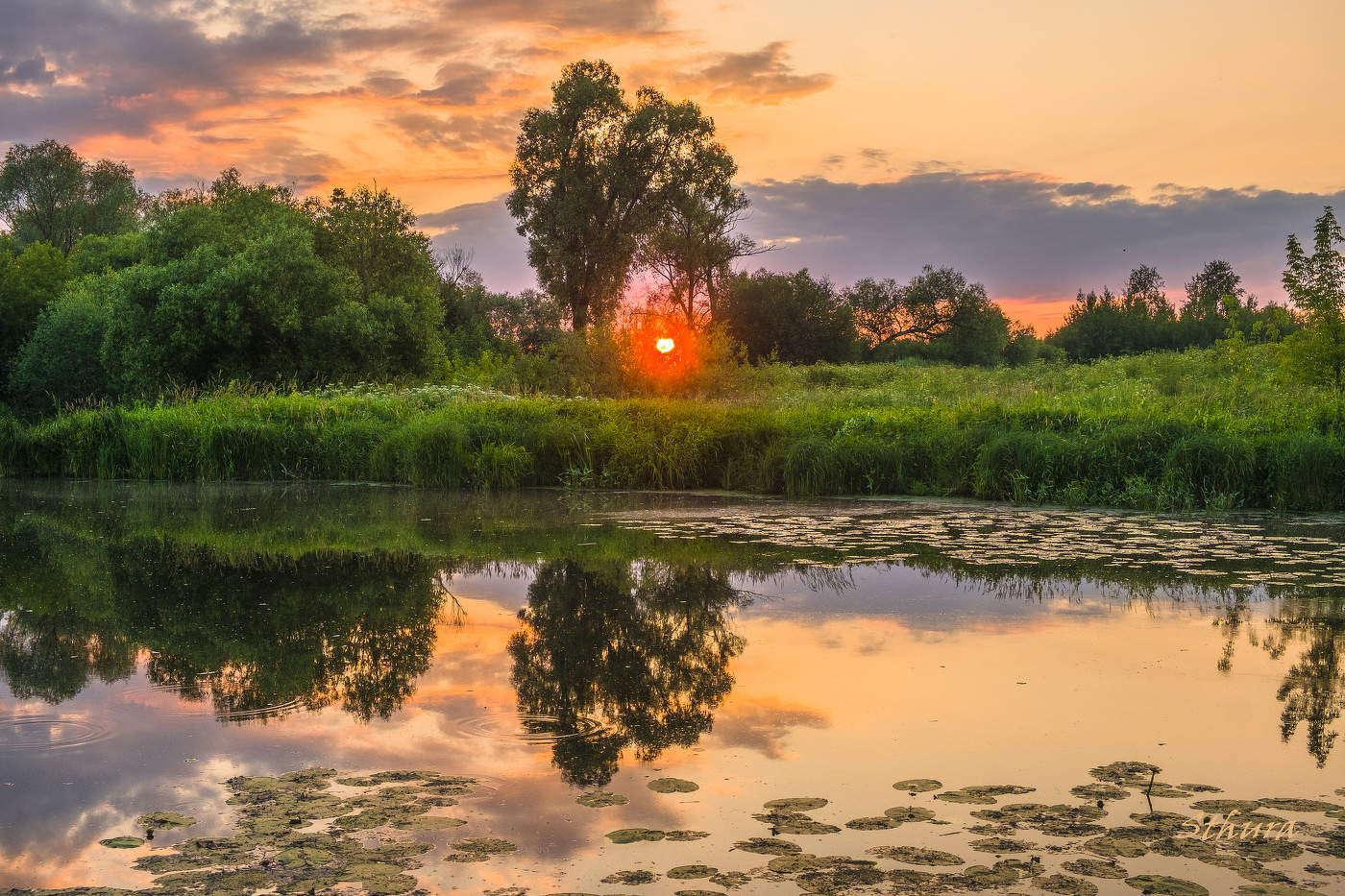 Вечерняя зорька.