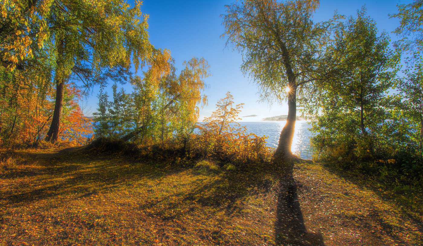 Осеннее утро, отбросив туман