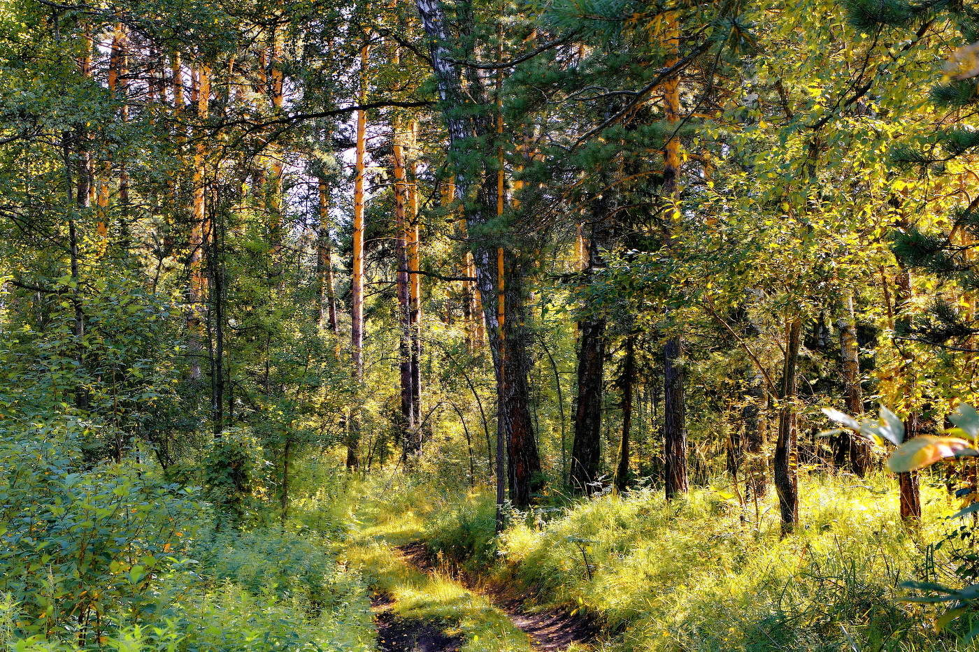 *Солнечным днём.**