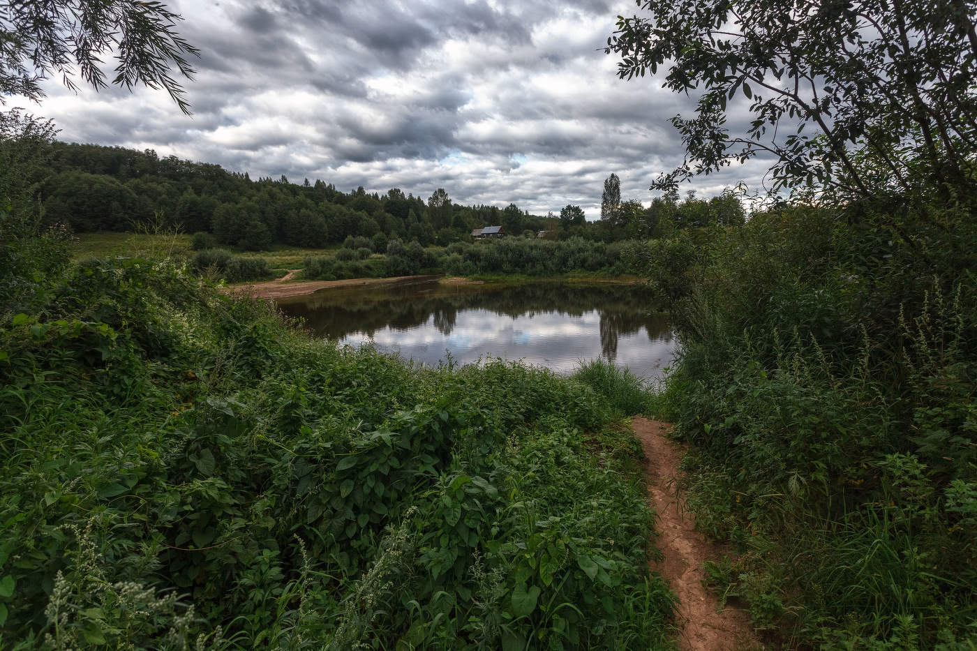 Жизнь вокруг