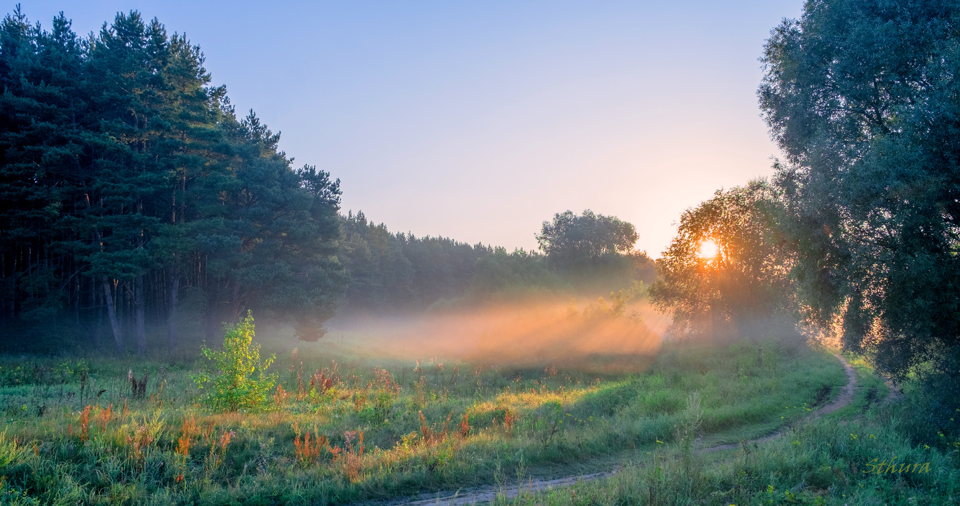 Лето. Рассвет.
