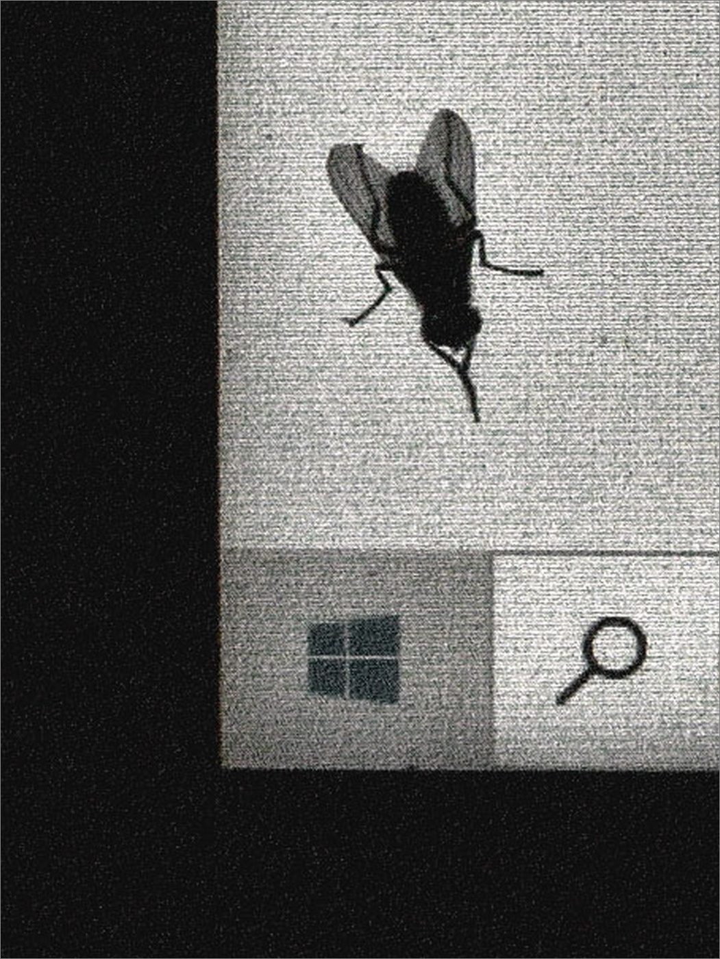 Жизнь вокруг