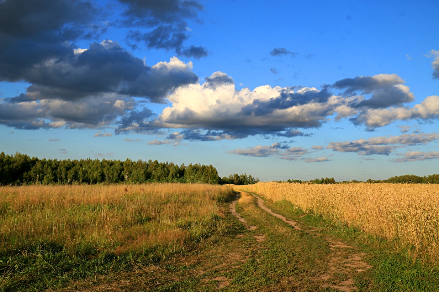 Дорога через поле.