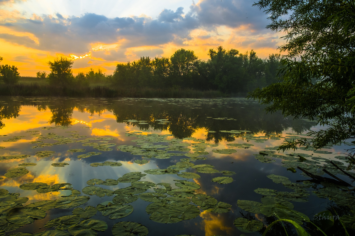 Утро на озере Студёное.