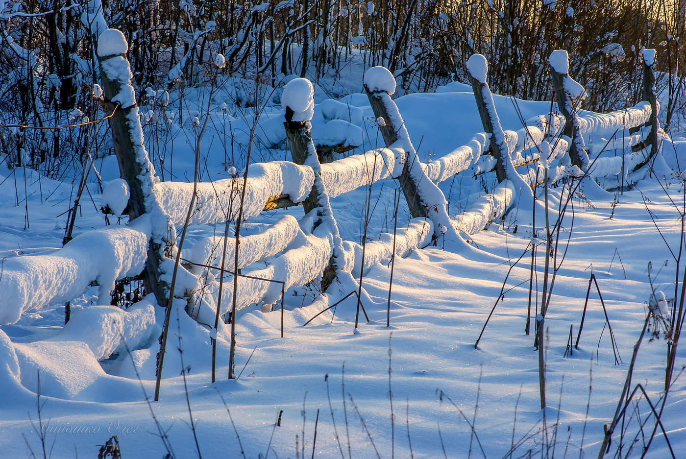 Старый забор.