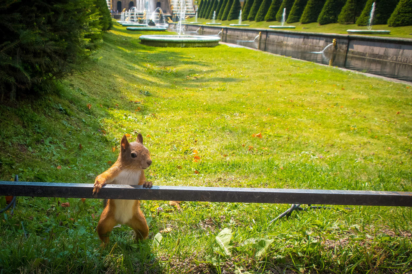 Смотритель фонтанов