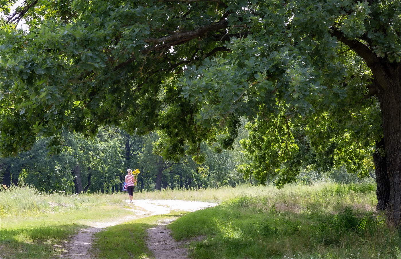 АВГУСТА БУКЕТ