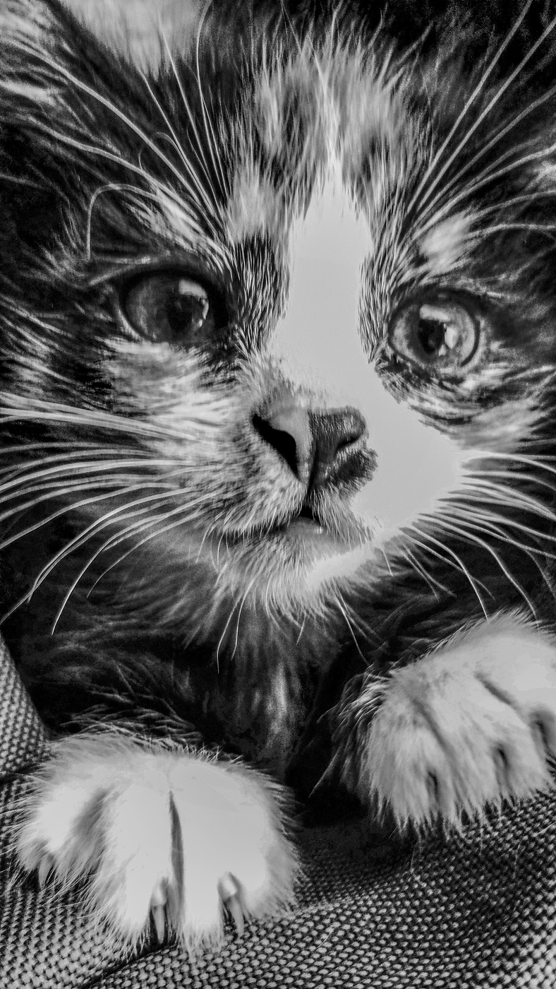 Жизнь вокруг