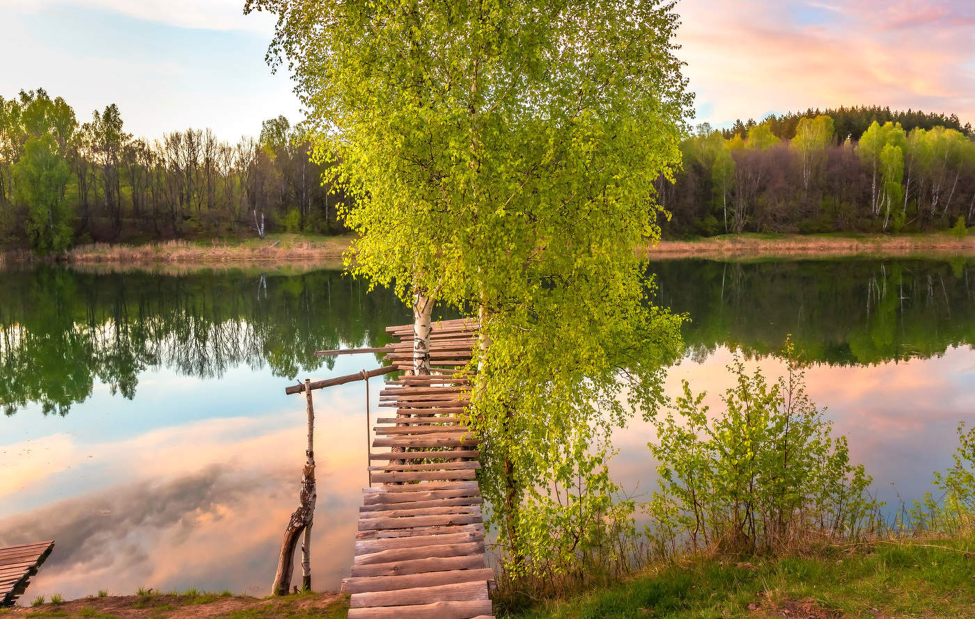 Берёзки, озеро, мосток.