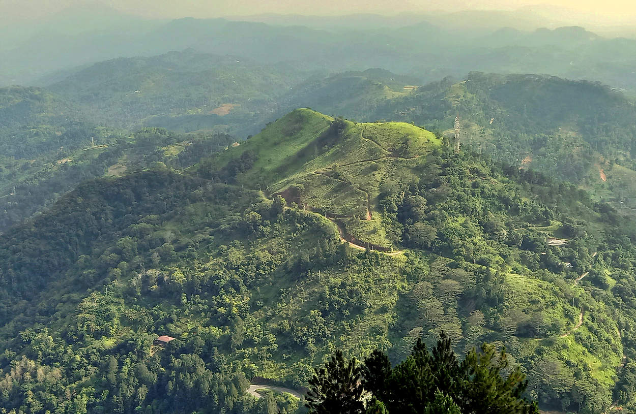 В горах Шри Ланка