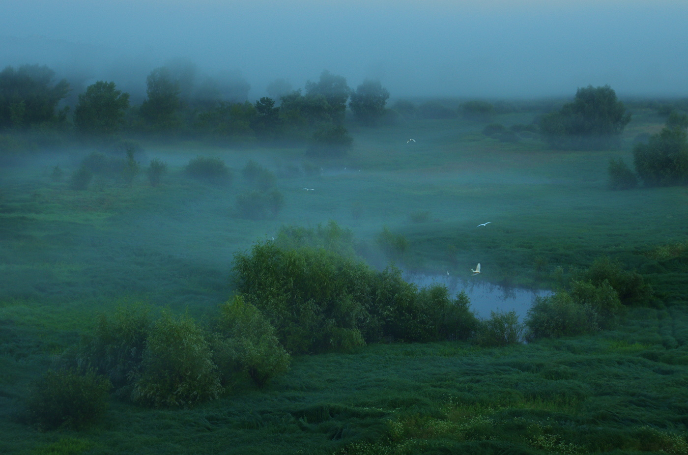Рассвет в пойменных лугах
