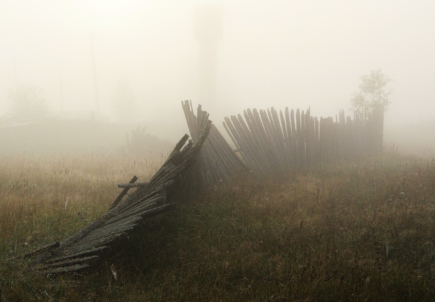 "Туманная серая сырость, как впалость болезненных щек..."