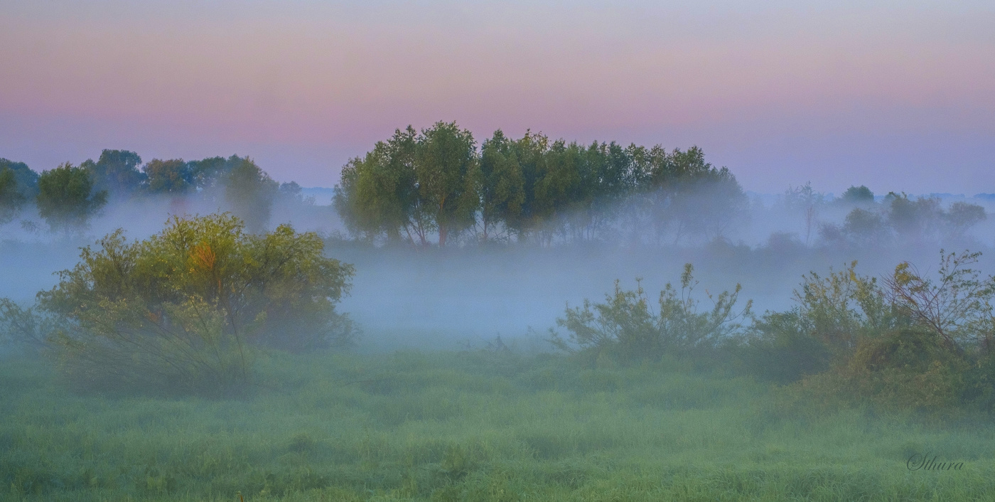 Над рекой туман.