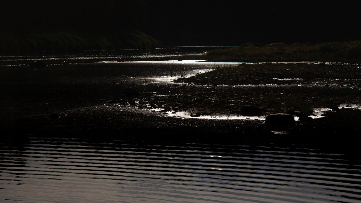 Жизнь вокруг