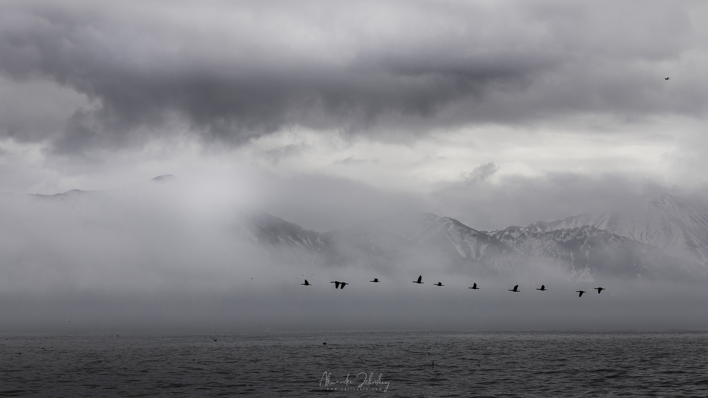 У дальних берегов