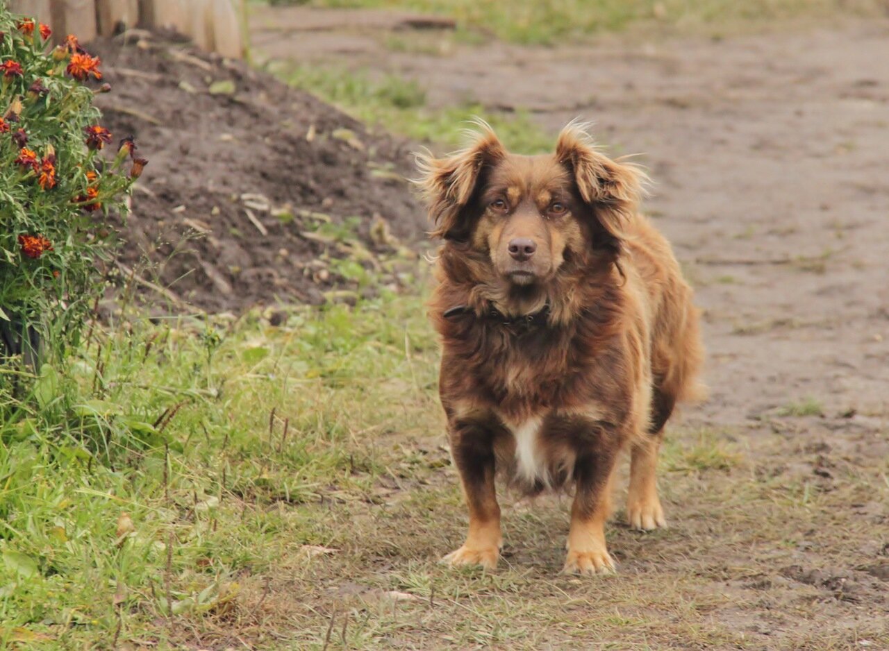 Встреча на узкой тропинке