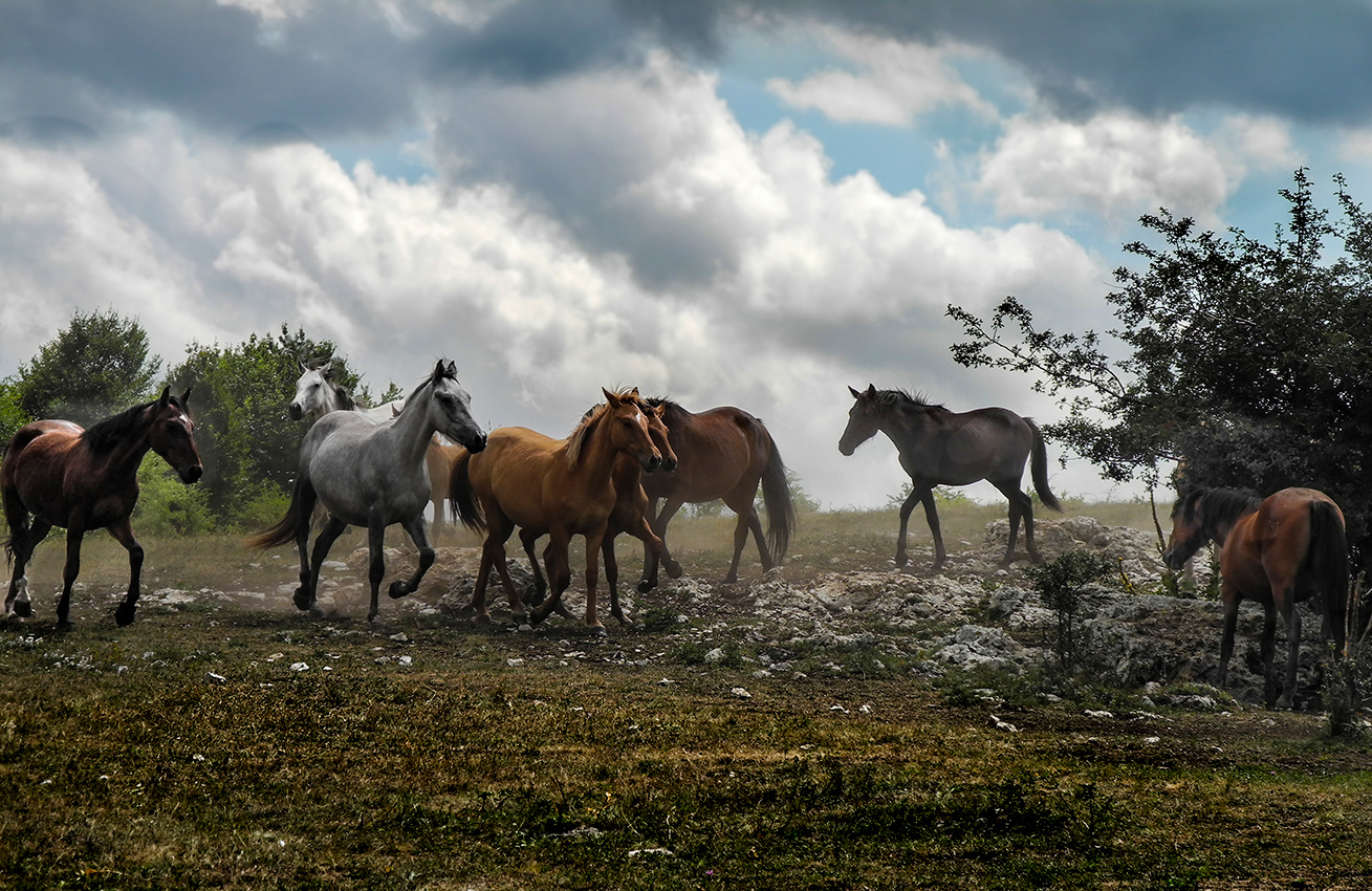 Под самым небом