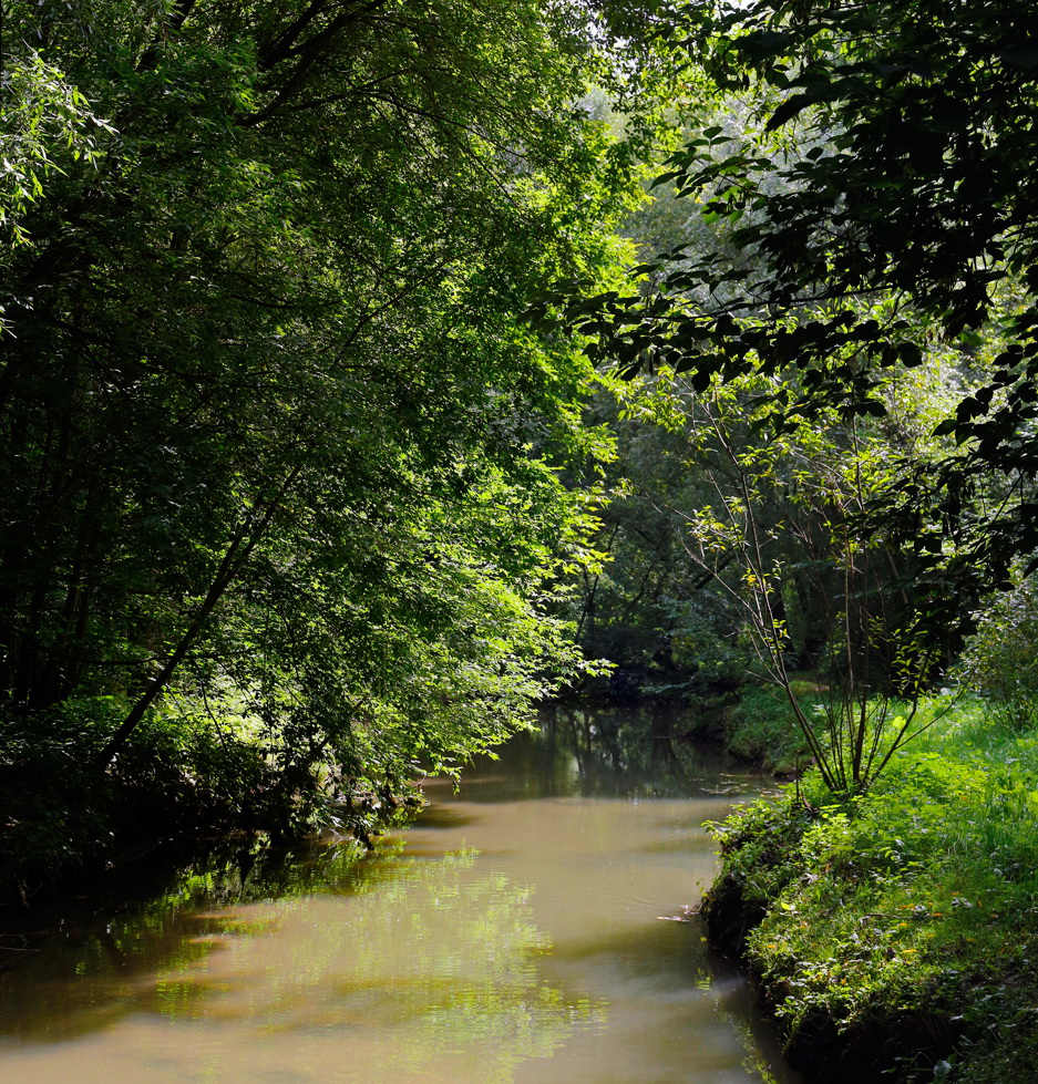 Жарким августовским днём в Царицыно