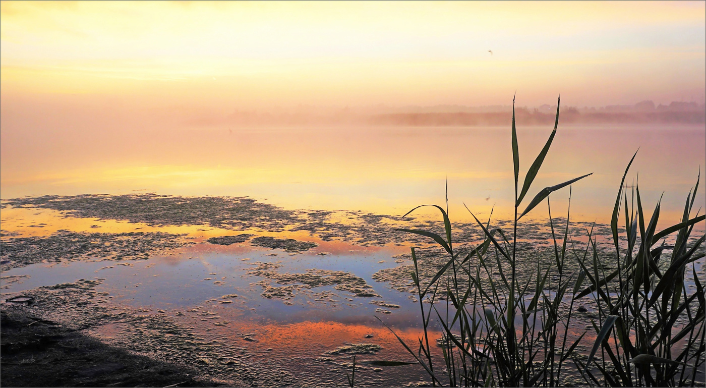 Тихое раннее утро...