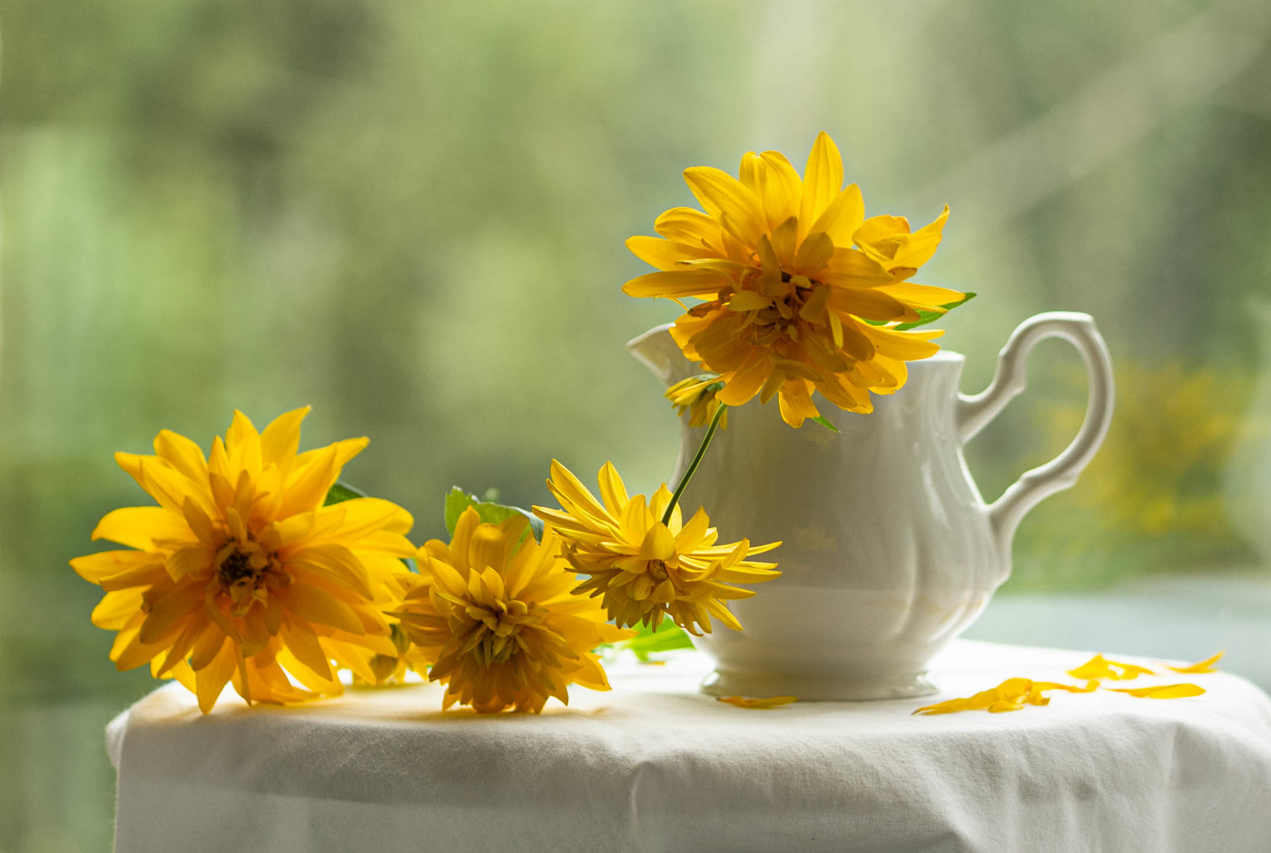 Желтые цветы