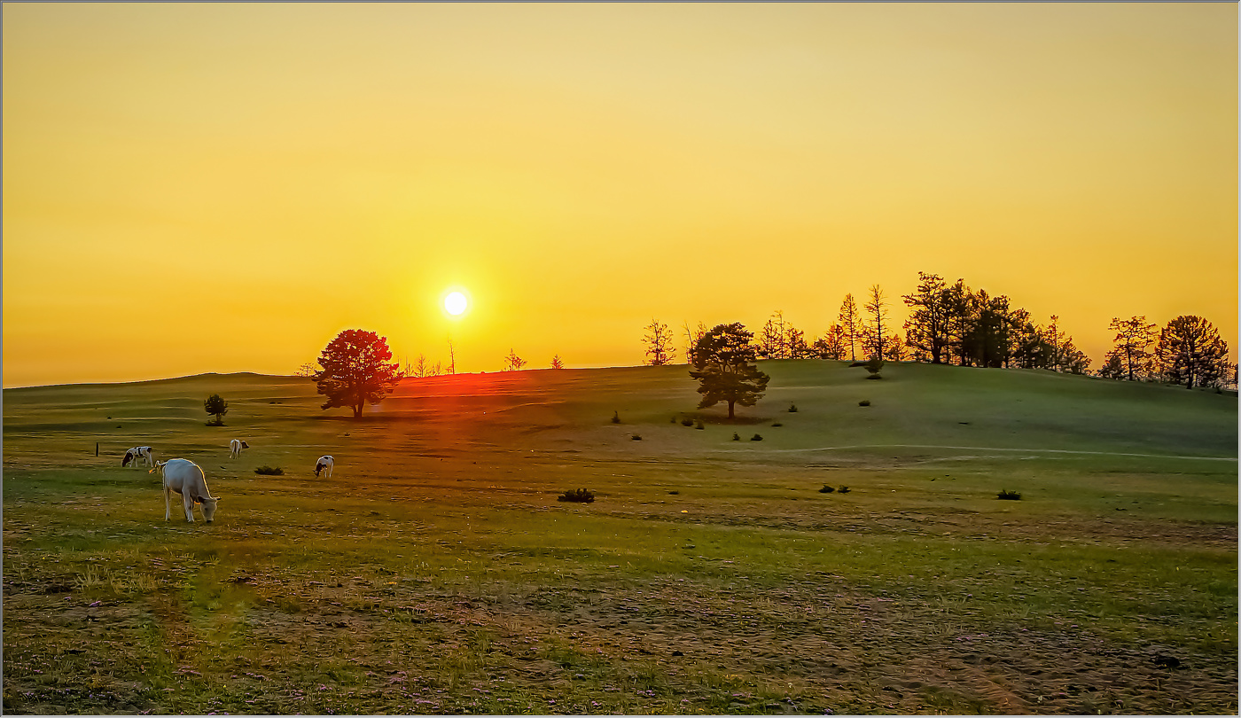 На вечерней зорьке