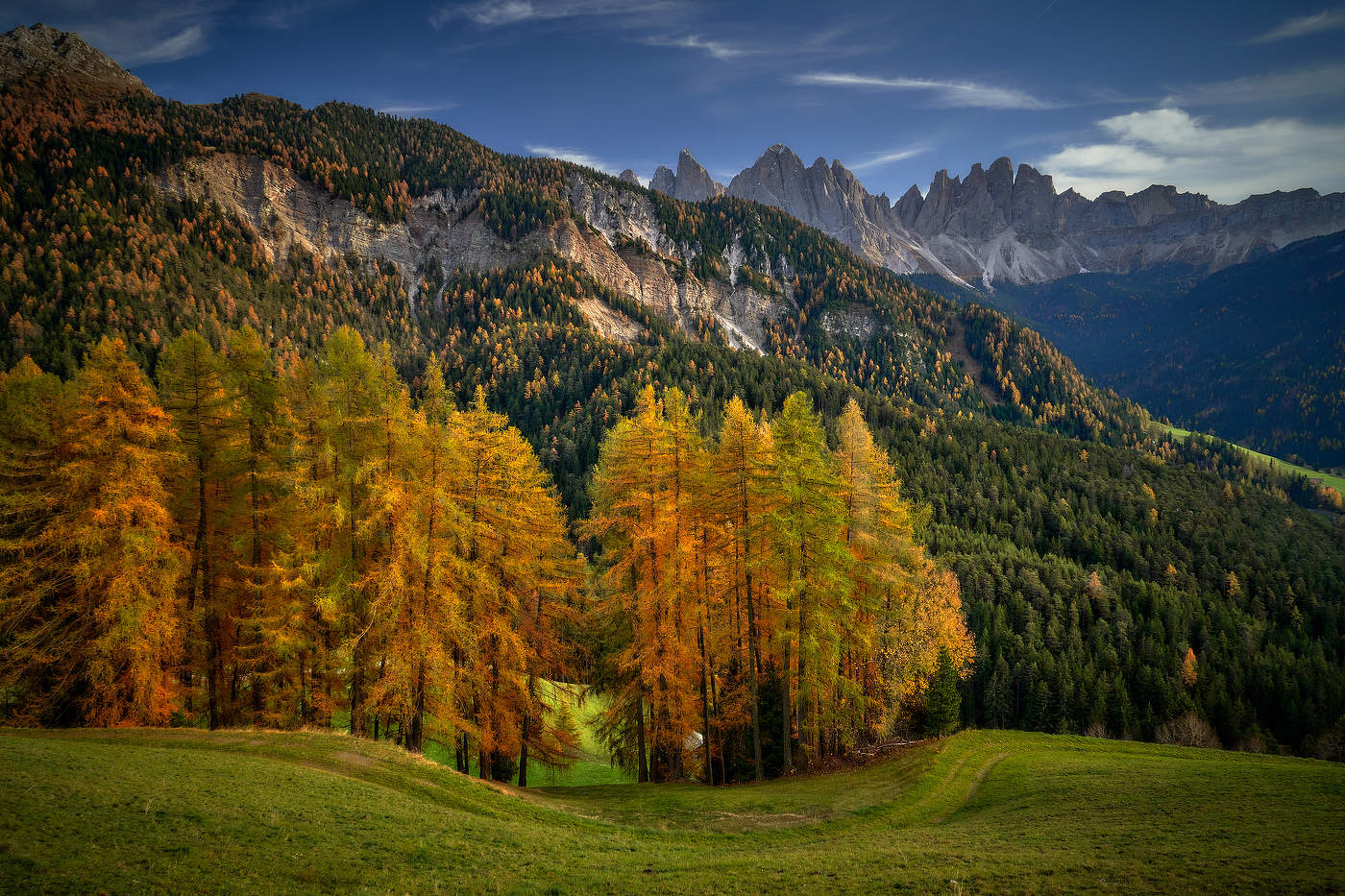 Цвета Осени...