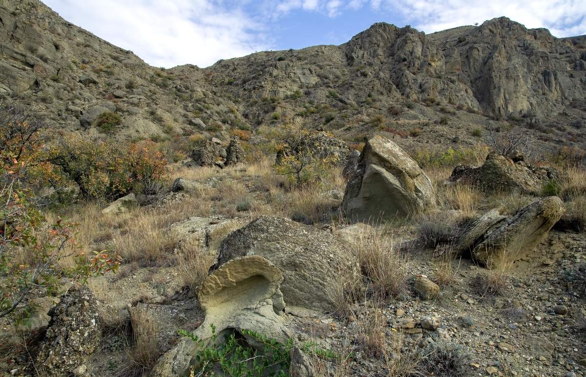 Дикий Сад Камней.