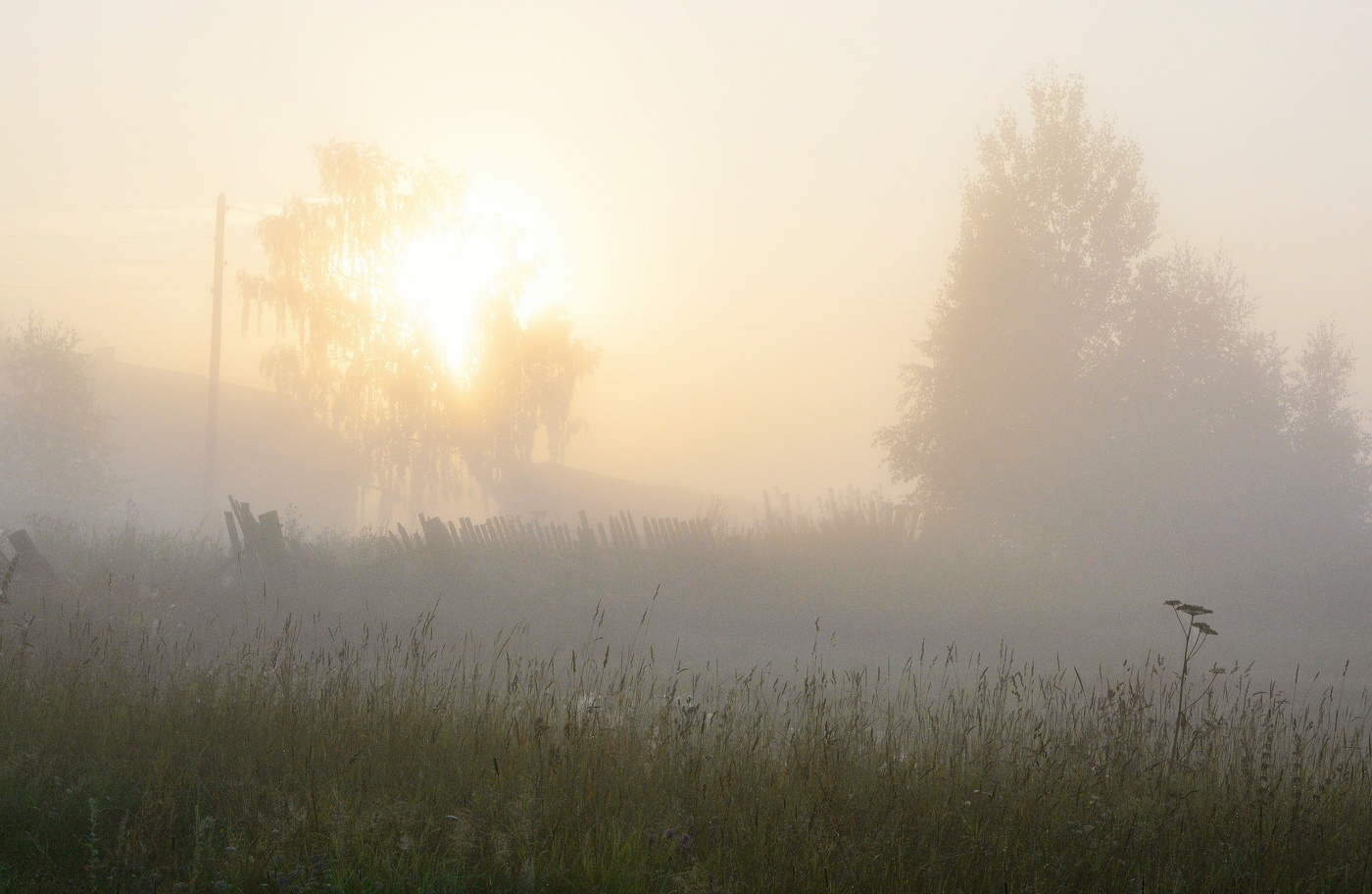 Хорошее утро ...