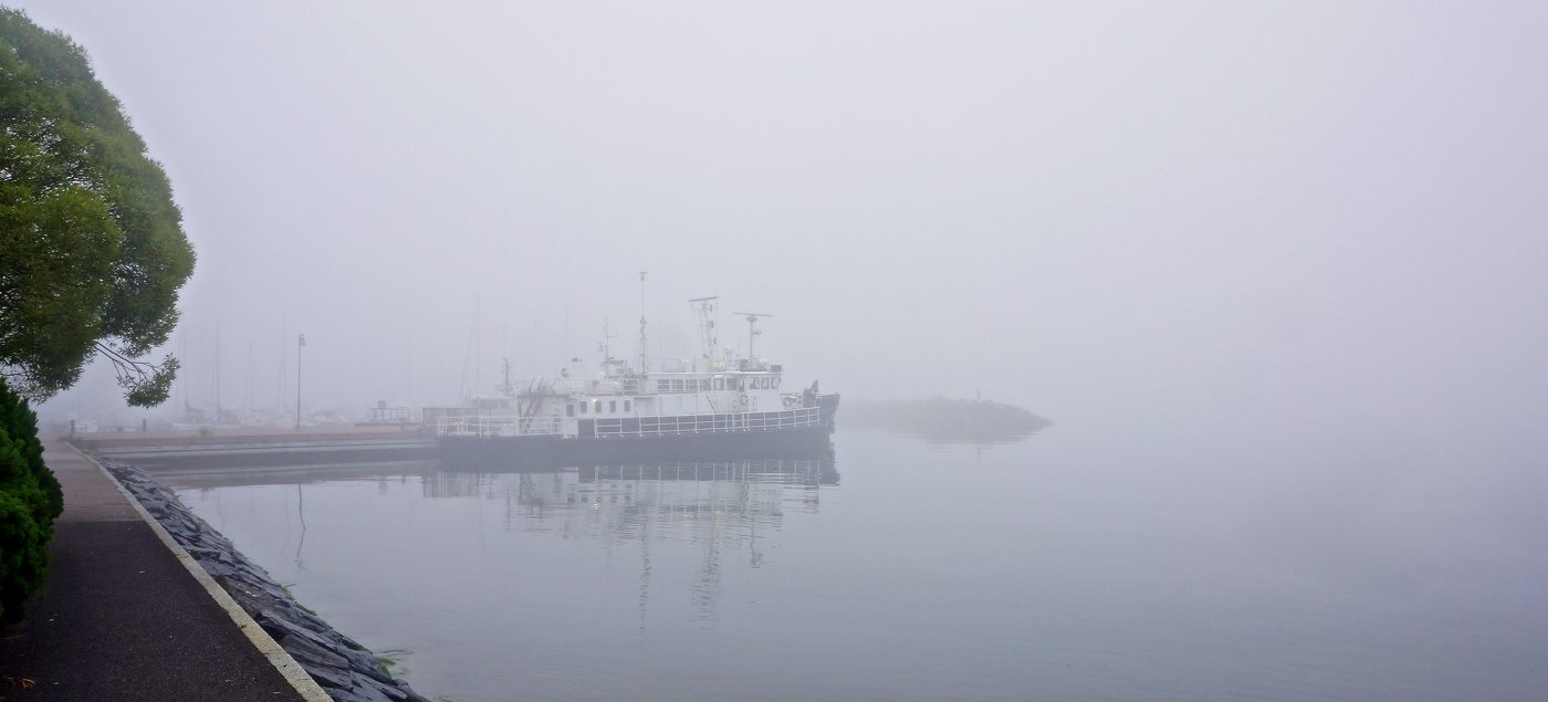 Раннее туманное утро