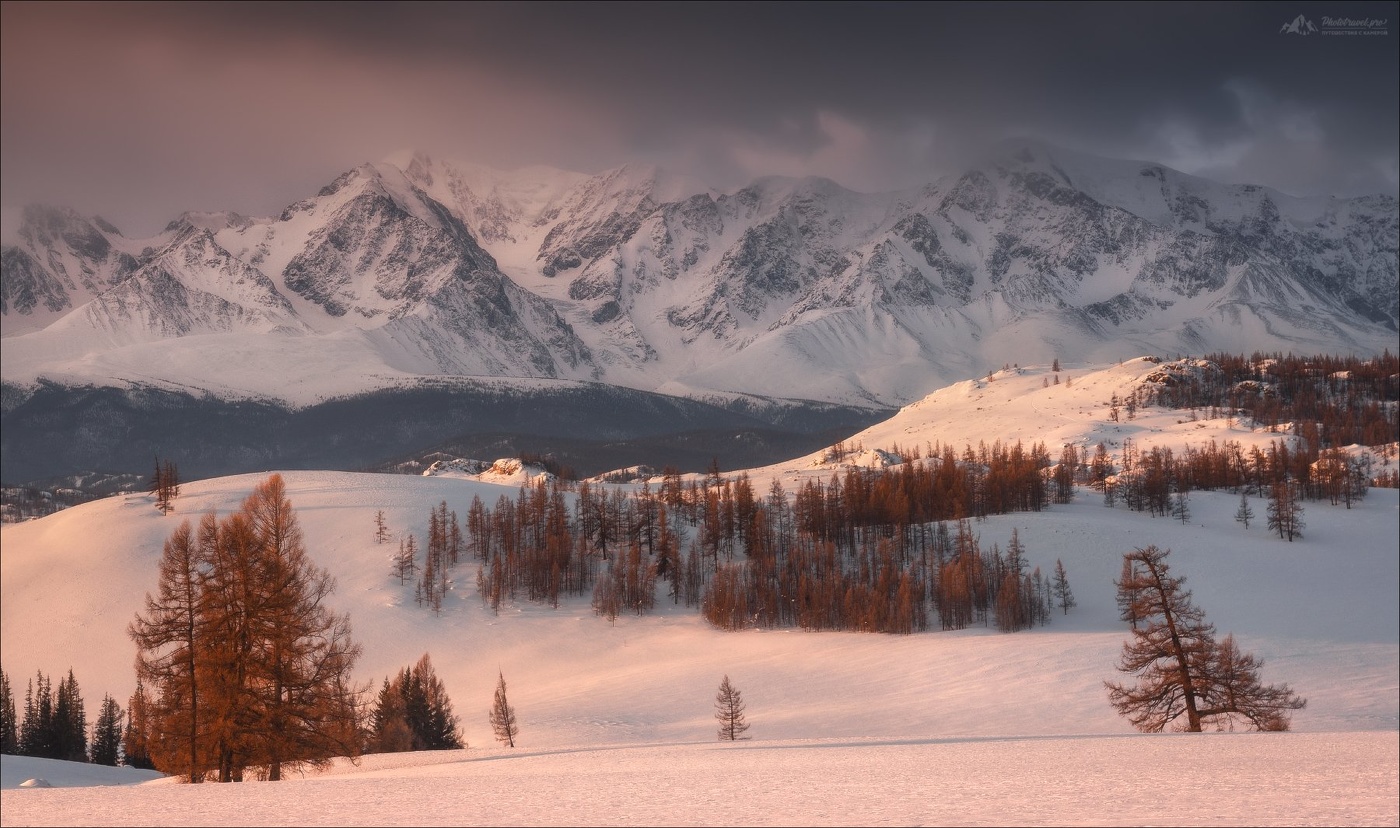 Розовый зефир ..