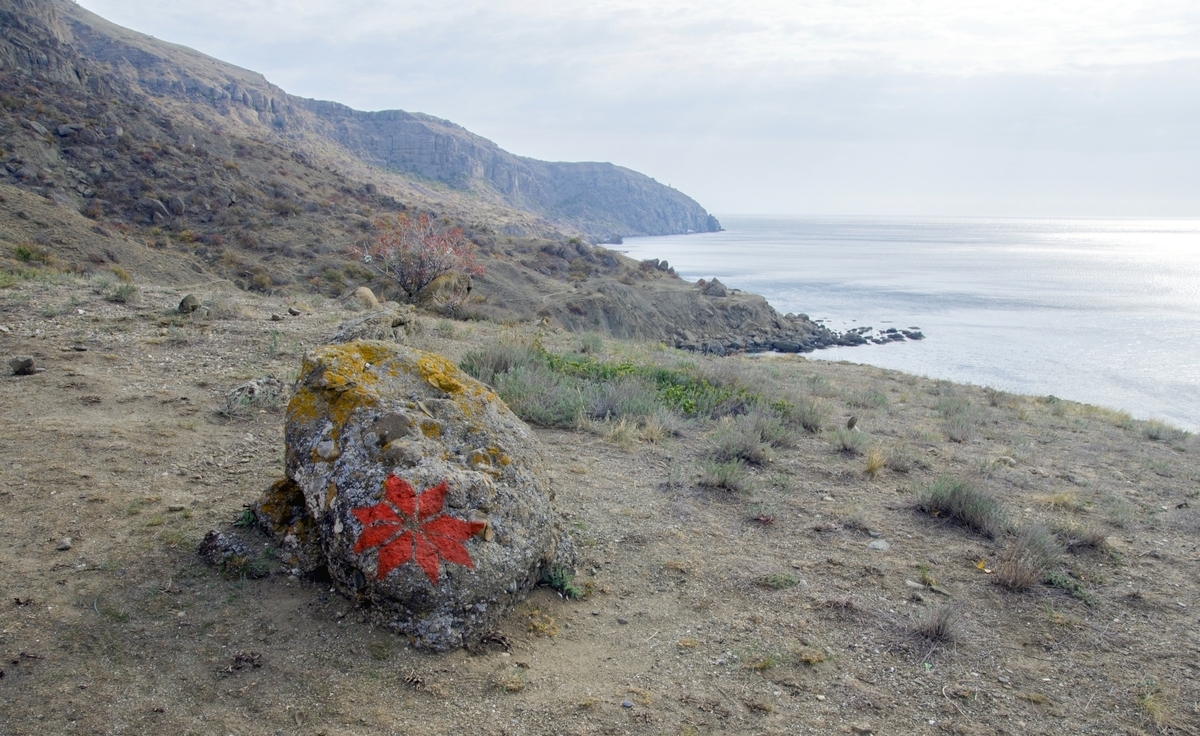 Туманные берега...