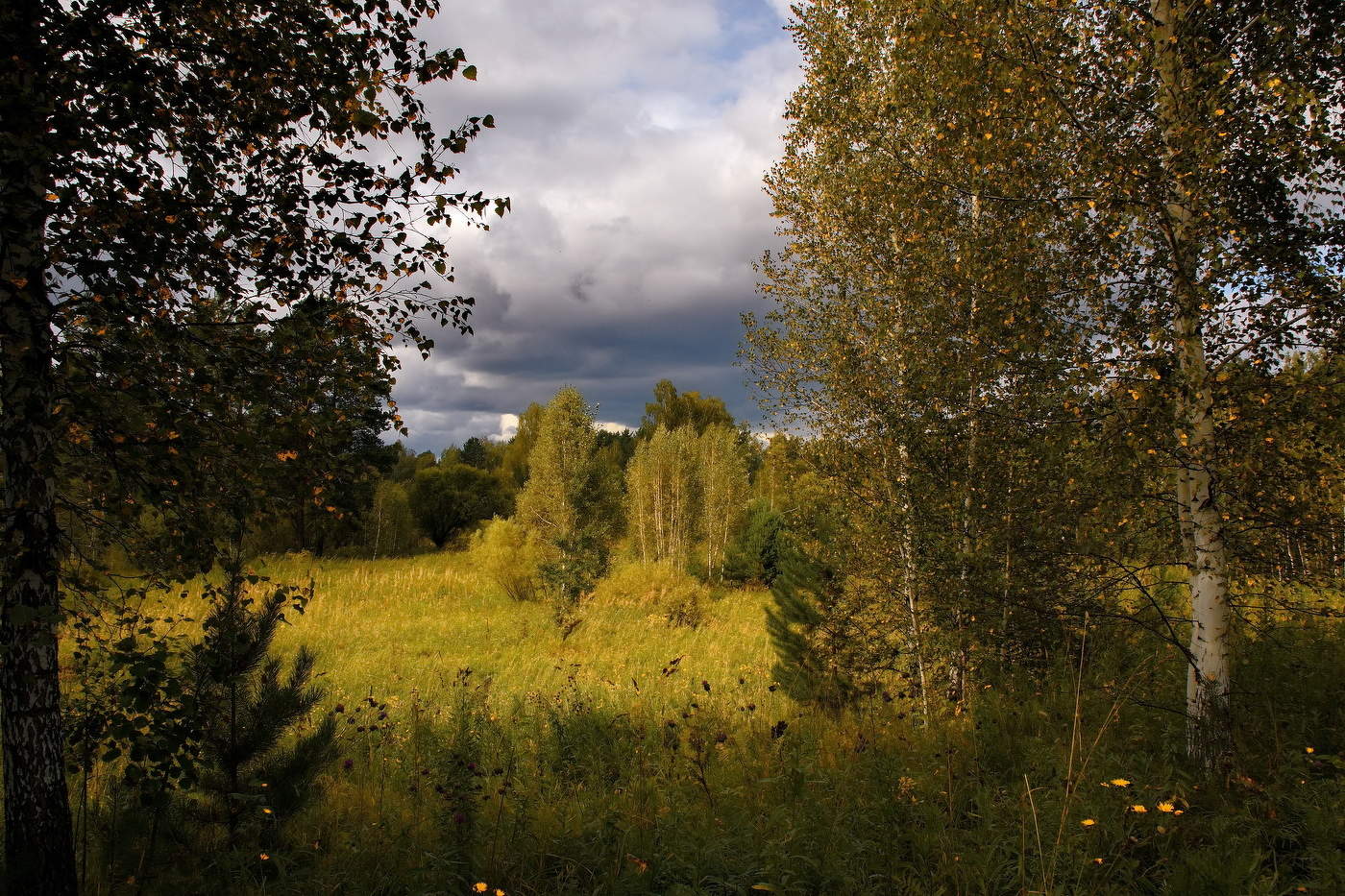 **Августовским вечером.*